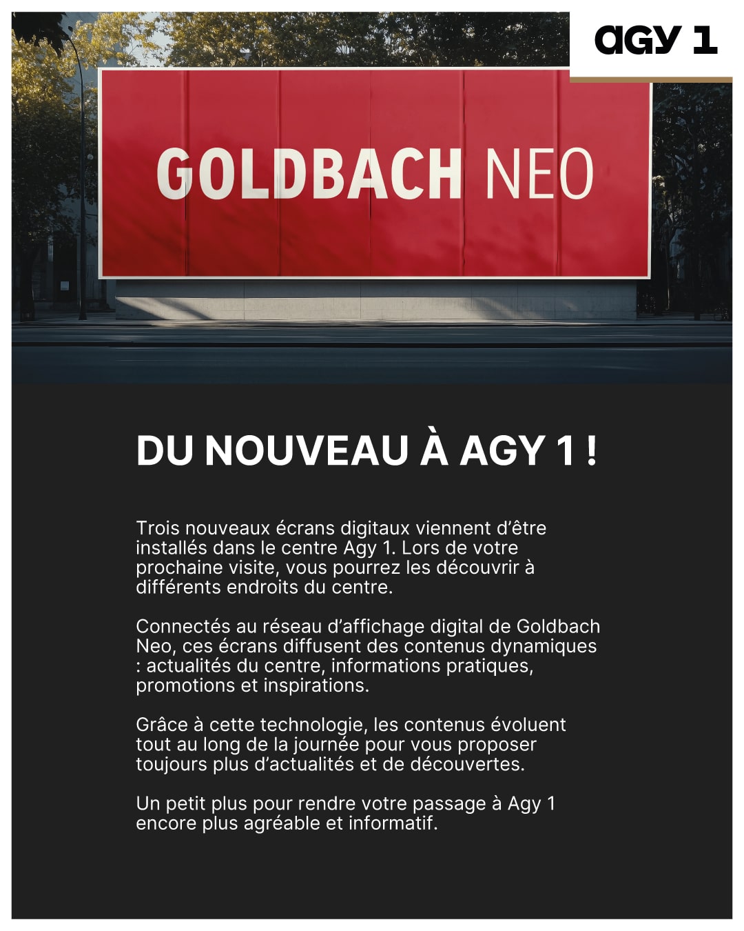 Goldbach Neo 1080x1350 FR